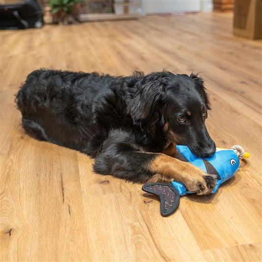 Aktiv-Hundespielzeug aus Polyester mit TPR-Ring & Quietscher | Quietschspielzeug für den Hund