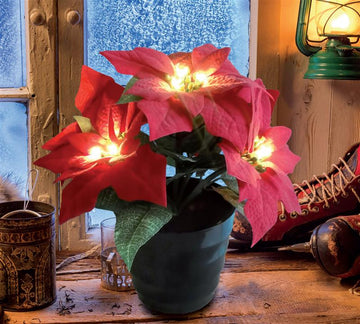 Künstlicher Weihnachtsstern mit 20 LED beleuchtet, täuschend echt wirkend