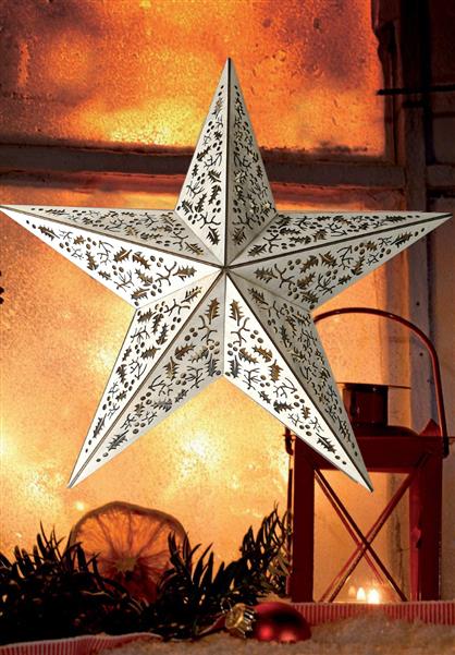 Holzstern | 40 cm | inkl. 10er LED Lichterkette und Fernbedienung (Mistelzweig-Optik)