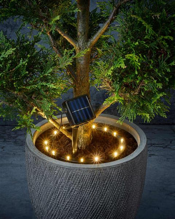 Pflanzenbeleuchtung mit 15 warm-weißen LEDs und separatem Solar-Panel mit Dämmerungssensor, setzt die Topfpflanzen perfekt in Szene, kabellos, Ø 20 -25 cm